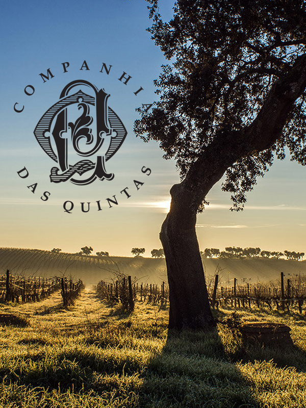 CDQ winery 600x800