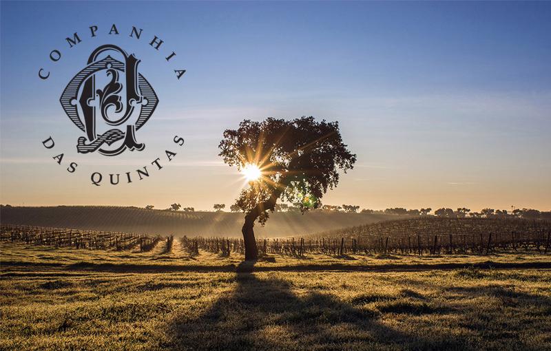 CDQ winery 800x510
