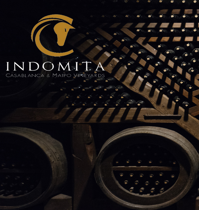 Indomita winery 800x846
