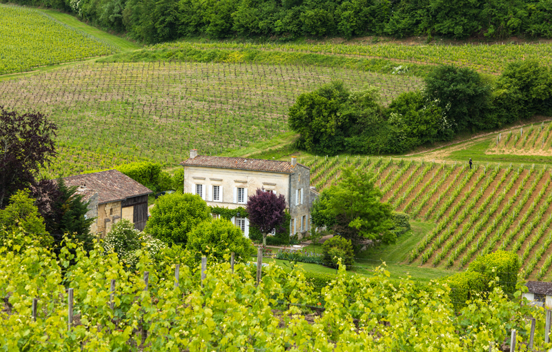 Maison le Star 6 800x510