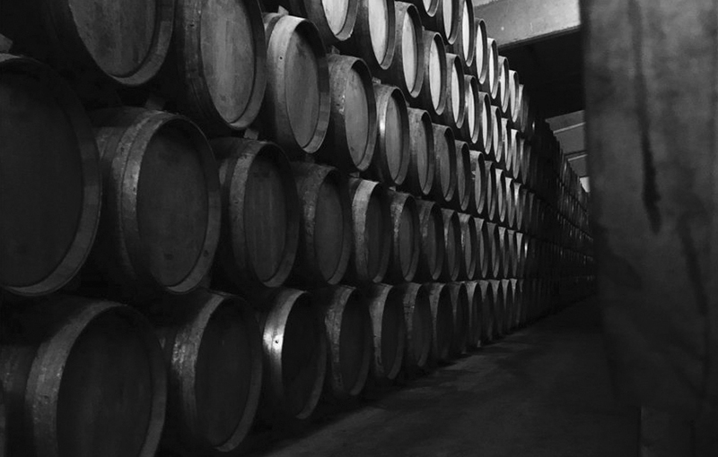 faustino Rivero winery 3 800x510